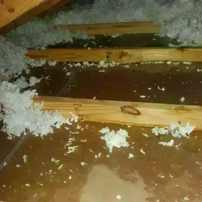 Attic Water Damage in Guyton, GA